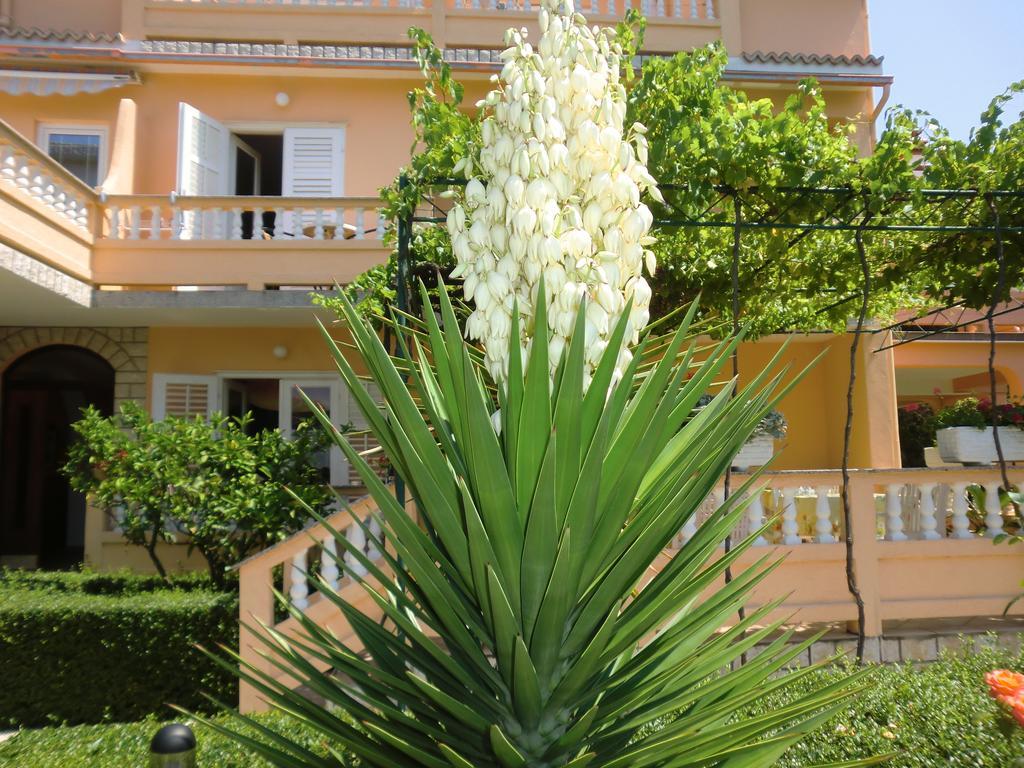 ראב Guest House Sandra מראה חיצוני תמונה